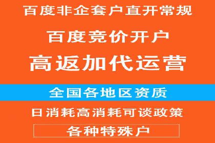 百度SEO优化公司案例详解：如何制定有效的推广计划